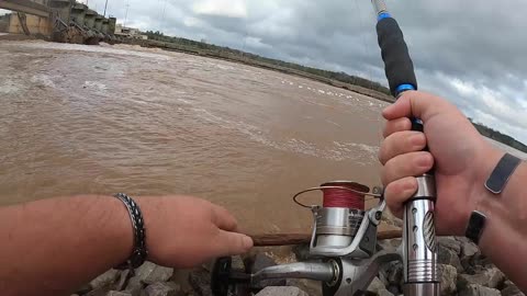 Catching prehistoric fish from a raging spillway