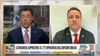 Rep. Pat Fallon slams the $1.7 trillion spending bill