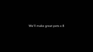 Porno For Pyros - Pets