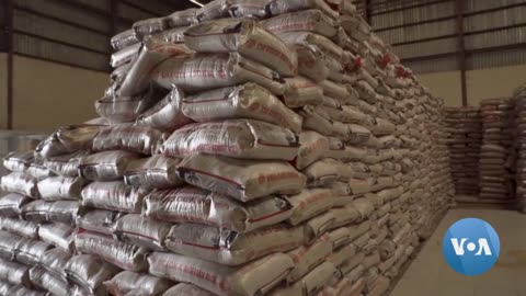 Indian Rice Export Ban Prompting Shutdown of Nigerian Mills