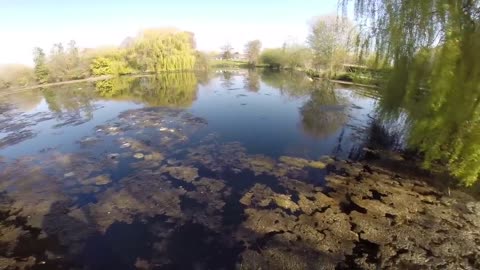 Pike fishing in Weedy Lakes-5