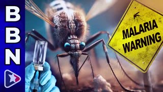 🚨CDC ISSUES MALARIA ALERT🚨AS VACCINES ARE READIED FOR NEXT PLANDEMIC PSYOP!