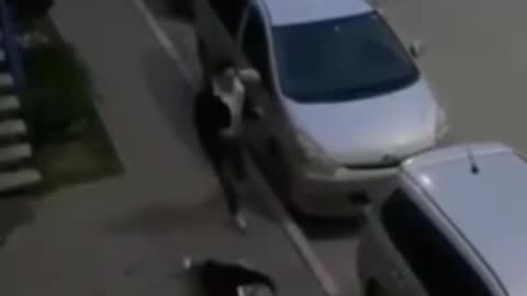 2 drunk dudes in hilarious street fight.