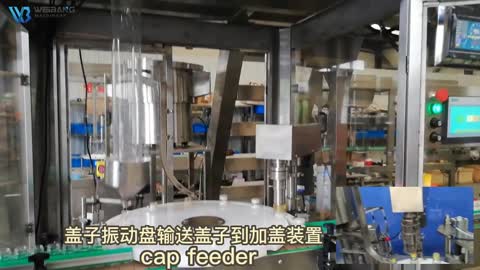 Quality automatic nuts filling and weighting machine Manufacturer | Weibang