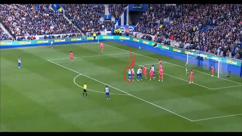 Brighton 1-1 Everton Analysis