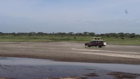 When you in Tanzania Safari in Ndutu South Serengeti