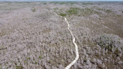 How does the Everglades look like? Everglades from Above #drone #4K
