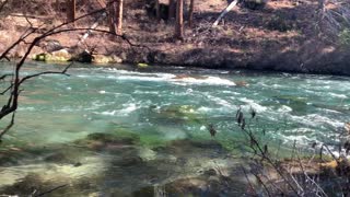 The Vibrant Metolius River – Central Oregon