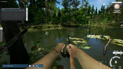 Initial Setup for Streaming /w Ultimate Fishing Simulator 2