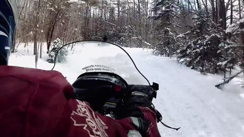 Driving Snowmobile On Snowy Path
