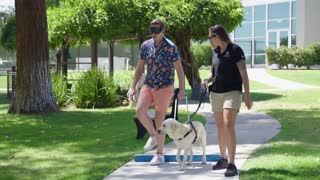 Try Guys Train Guide Dogs For A Day (feat. Molly Burke)