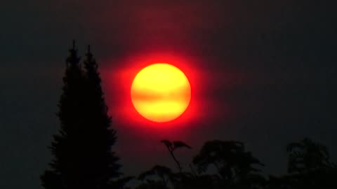 Canadian Wildfire Sunrise