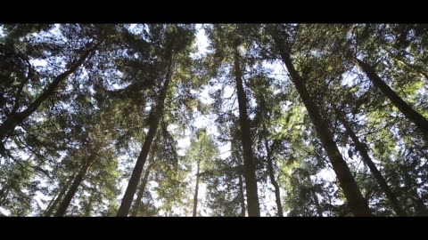 Amazing Nature VIDEOS