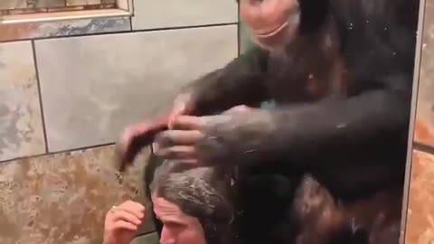 Showering with a couple of monkeys