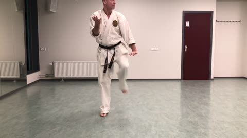Karate | Okinawan Goju-ryu | Saifa kata