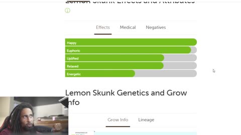 Lemon Skunk Strain Review