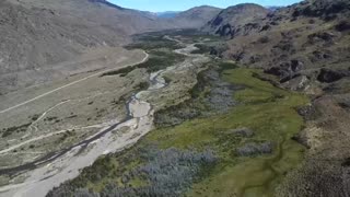 La escuela de la Patagonia donde los cóndores aprenden a volar