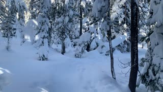 Porcupine Snowshoe Trail – Central Oregon – Swampy Lakes Sno-Park – 4K