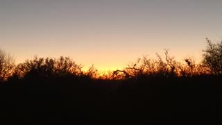 The sounds of a sunset in Texas