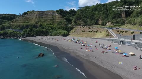 Whale Watching Azores Islands.