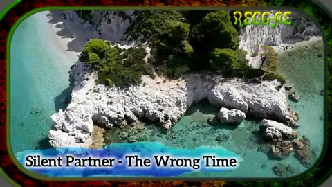 Silent Partner The Wrong Time REGGAE NC #ncs #reggae #nocopyrights #audiobug71