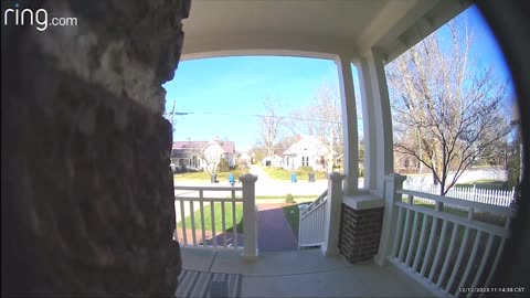 Squirrels Mate in Front of Doorbell Camera