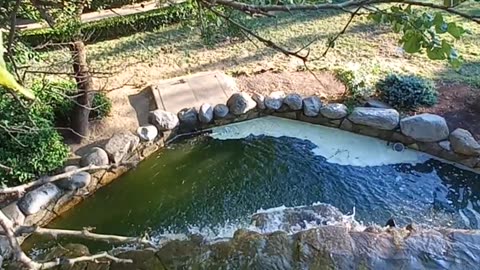 Beautiful waterfall in the garden