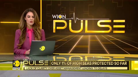 Crucial high seas treaty stuck over resources - Latest World News - English News - WION