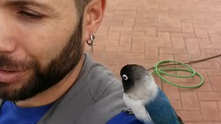 Man Makes Friends With a Bird on the Roof