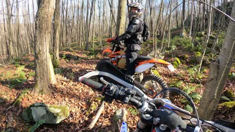 Beta 300 Xtrainer in some leaf covered gnarly single track