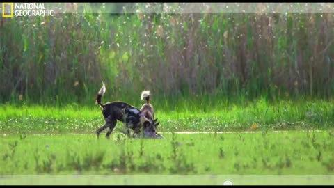 Botswana, landlocked country in the centre of Southern