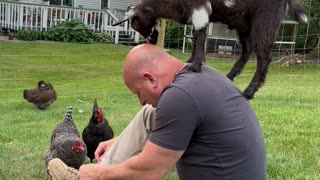 Man Tells Goat It's Time To Get Off His Head