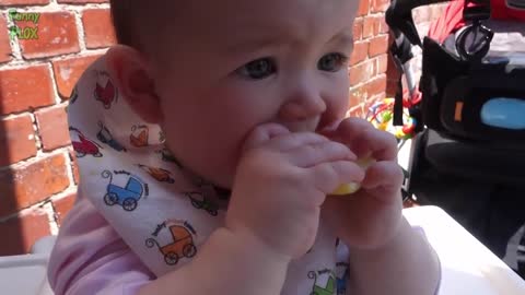 Babies Eating Lemons for the First Time Compilation