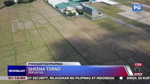 Tubig-ulan sa ilang probinsya sa Pilipinas, nabawasan ng humigit kumulang 50% dahil sa El Niño