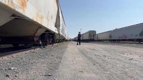 WALKING THE TRACKS