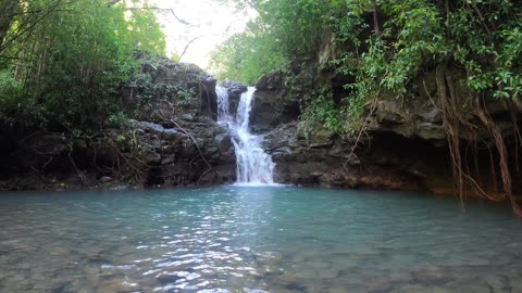 Stunning footage of Kalauao Falls Hike in O'ahu, Hawaii