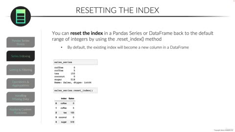 Duplicate Index Values & Resetting The Index/Pandas Series video 8