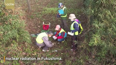 Environmentalists devoted to reveal nuclear contamination in Fukushima