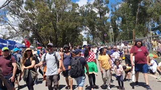 Canberra Freedom Rally 2022.