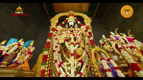 Tirumala Srivari Darshanam | Temple News Today