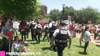 Pro-Palestine Protesters at White House