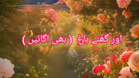 Surah Al Naba Beautiful Recitation with English Translation