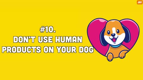 14 Things You Must Stop Doing to Your Dog