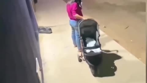 Brother Takes Baby To Prove Sis Isn't Paying Attention