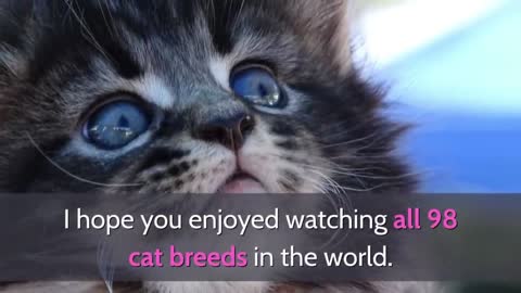 See the world all Cat Breeds A | Z with Pictures