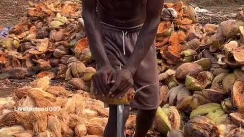 coconut west material recycling !