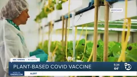 ABC 10 News Does In-depth: plant-based COVID vaccine.