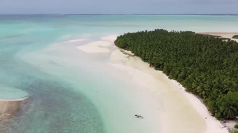 3 Fish in 1 Shot! - Crazy Spearfishing on Remote Islands