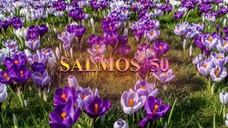 SALMOS 50 - Dramatización: M.Guadalupe Correa