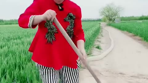 Best Funny Videos 2022, Chinese Funny clips daily